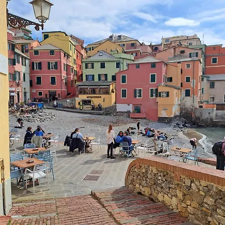 Appartamento Oasi San Lorenzo Genova